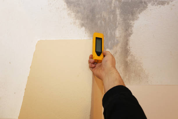 Best Indoor Air Quality Assessment  in Murphys, CA