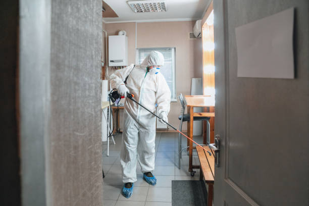 Best Environmental Consulting for Mold Prevention  in Murphys, CA
