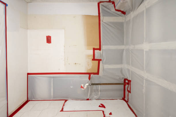 Best Black Mold Removal  in Murphys, CA