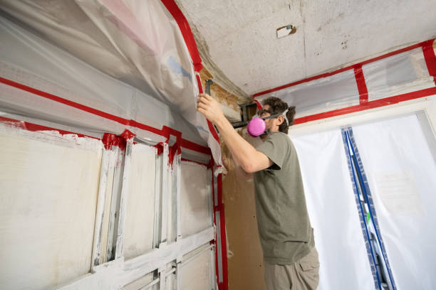 Best Mold Prevention Services  in Murphys, CA