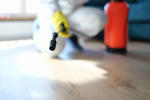 Best Mold Removal for HVAC Installations  in Murphys, CA
