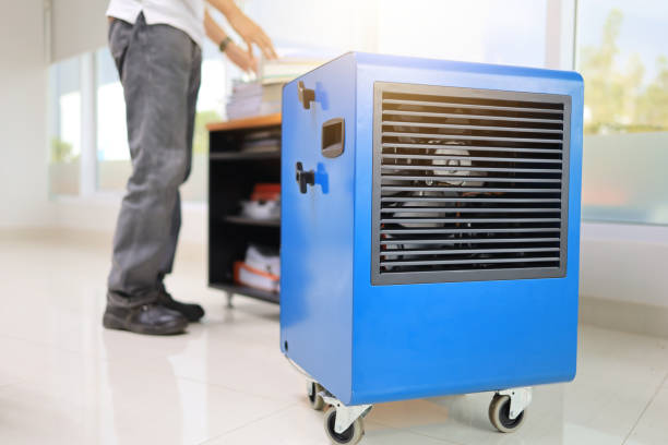 Best Biohazard Mold Removal  in Murphys, CA
