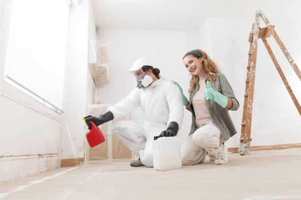 Best Asbestos and Lead Testing During Mold Inspection  in Murphys, CA