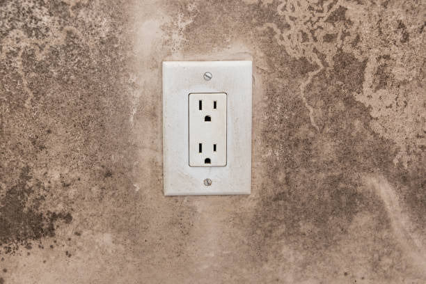 Murphys, CA Mold Removal Company